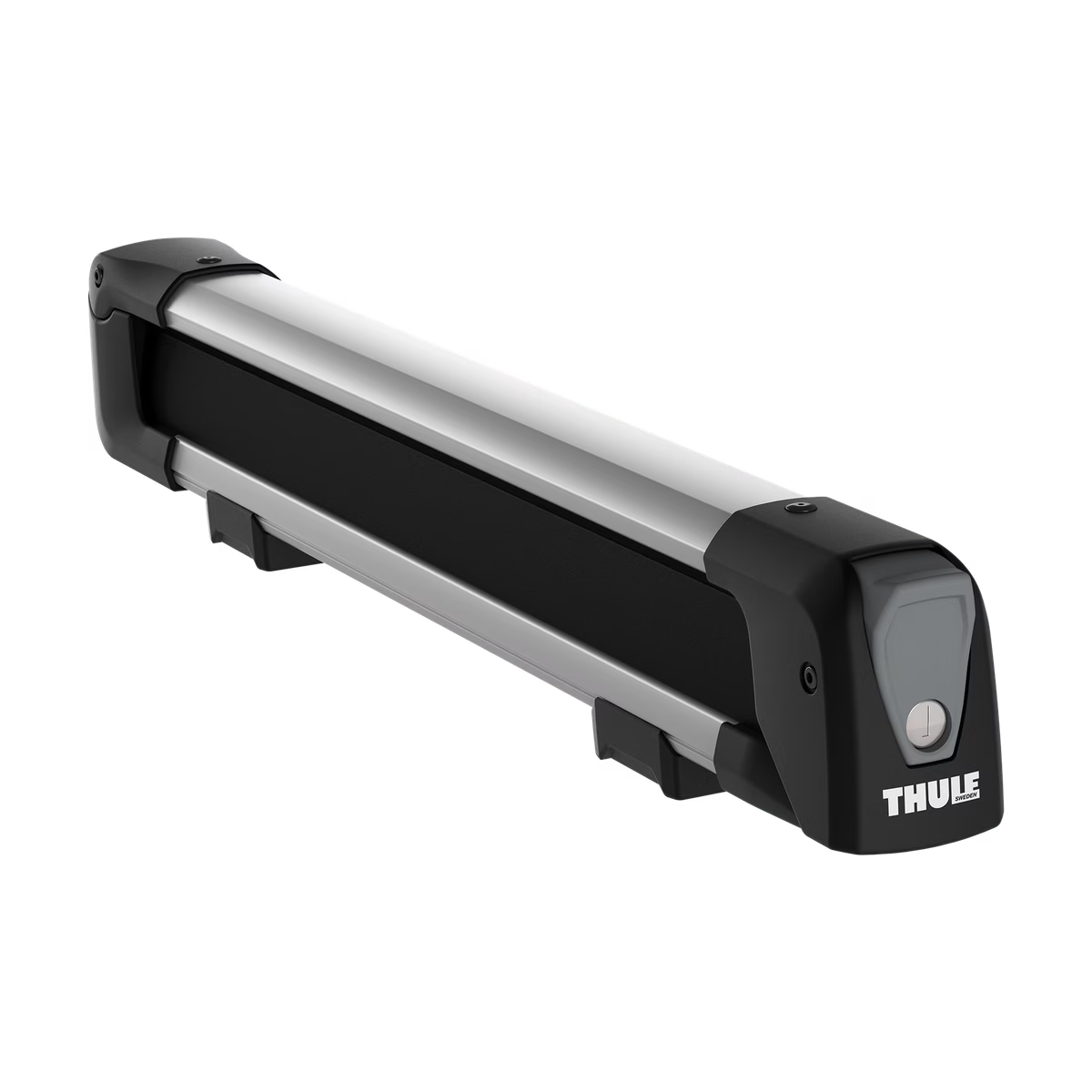 Thule SnowPack M
